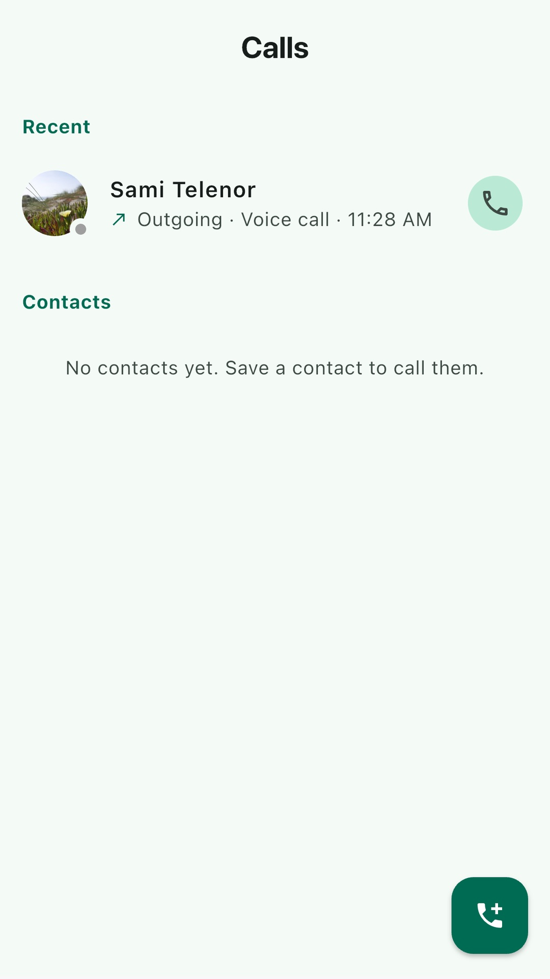 Calls tab showing recent voice and video call history