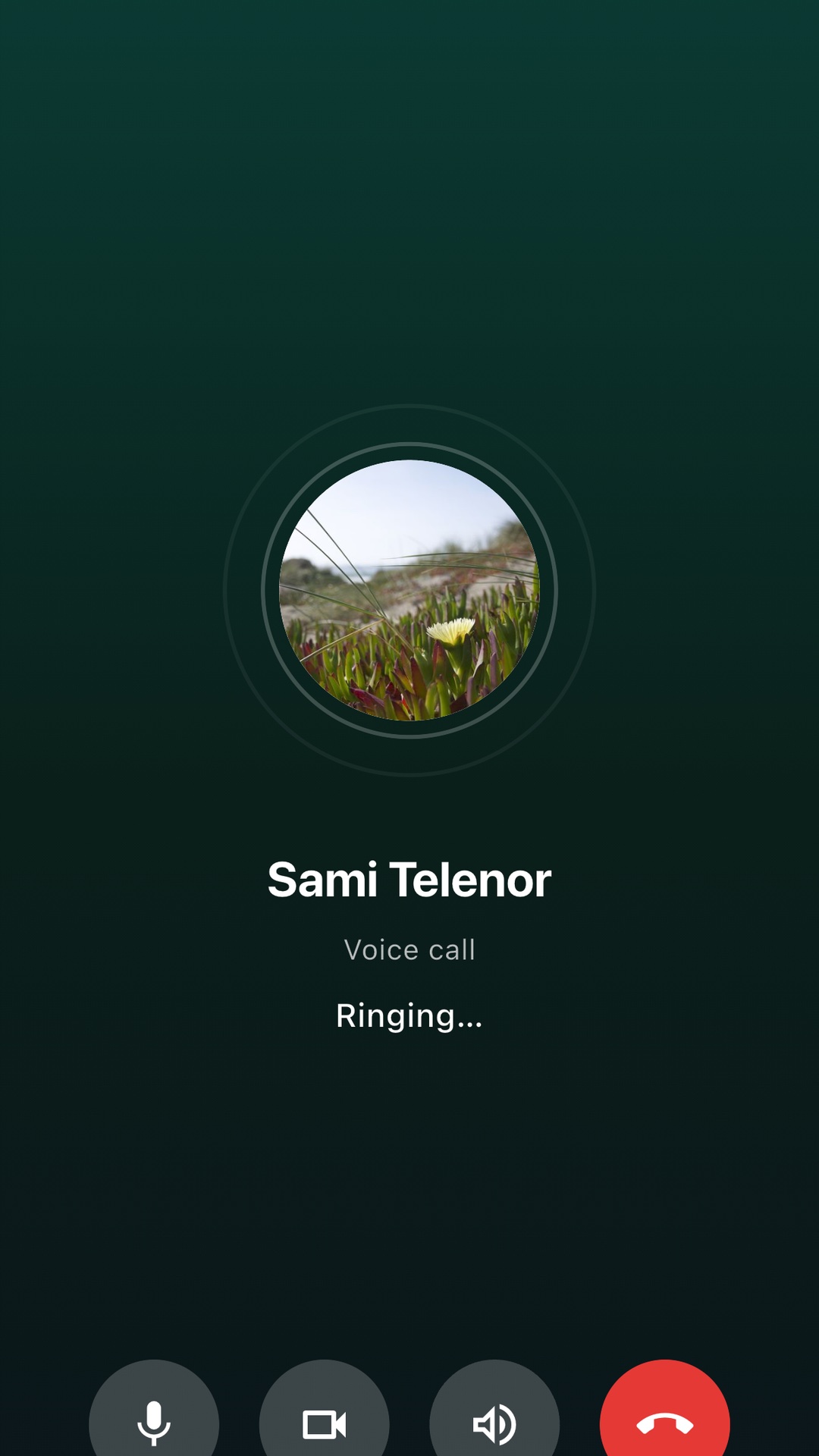 Outgoing voice call screen with mute, video, speaker, and end controls